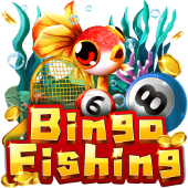 Câu Cá Bingo 32wi