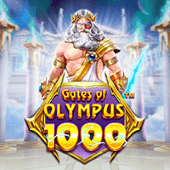 Cổng Olympus 1000 32wi